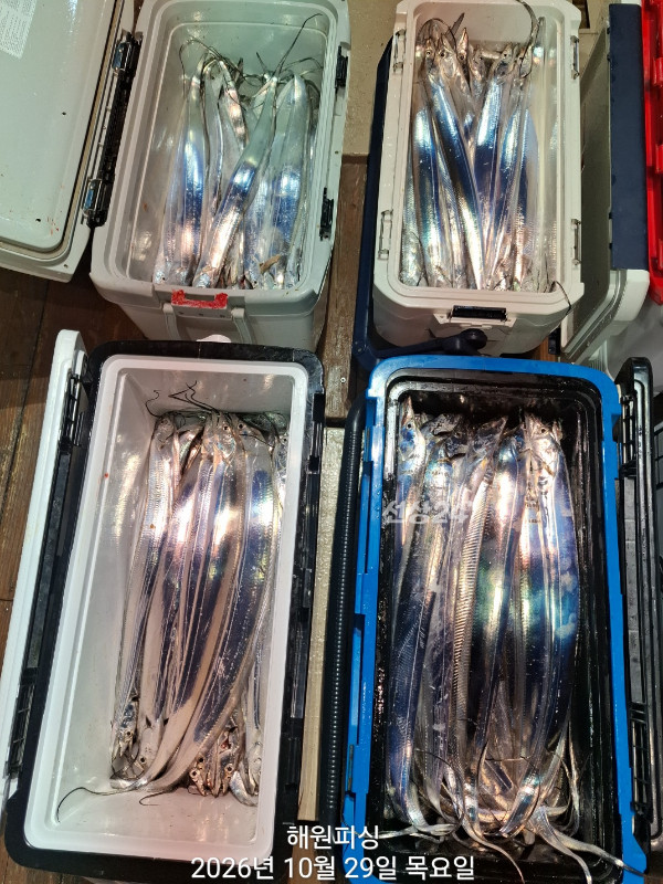 1000038945.jpg