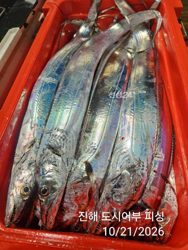 KakaoTalk_20261021_040550071_17.jpg