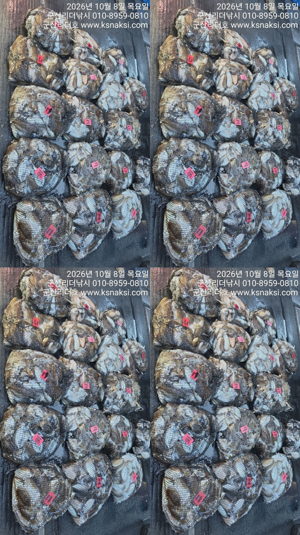 1008리더망탱이.jpg