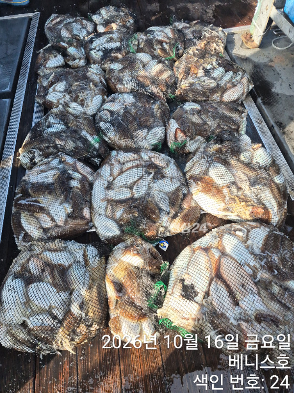 KakaoTalk_20261016_192837708_09.jpg