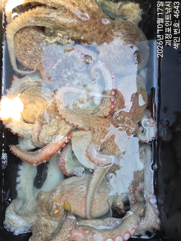 KakaoTalk_20261018_143747004_08.jpg