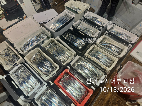 KakaoTalk_20261013_051029627_14.jpg