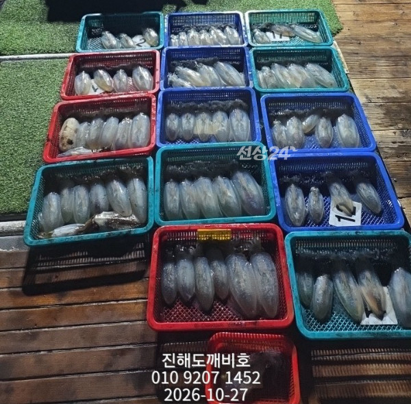 10214.jpg