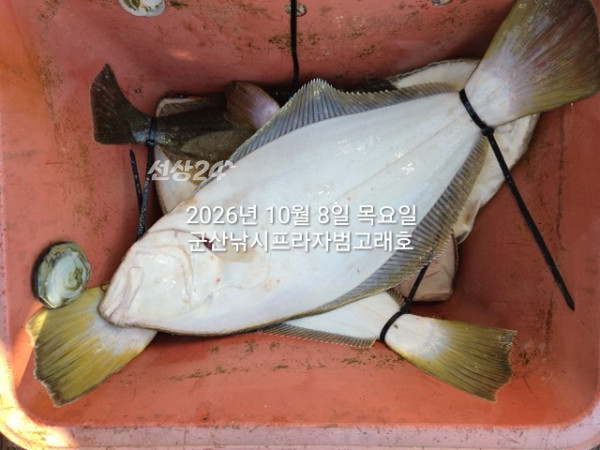 KakaoTalk_20261008_163832700_04.jpg