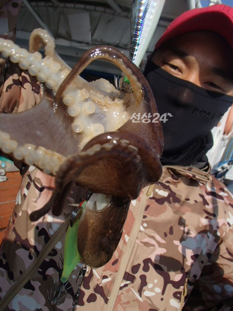201.JPG