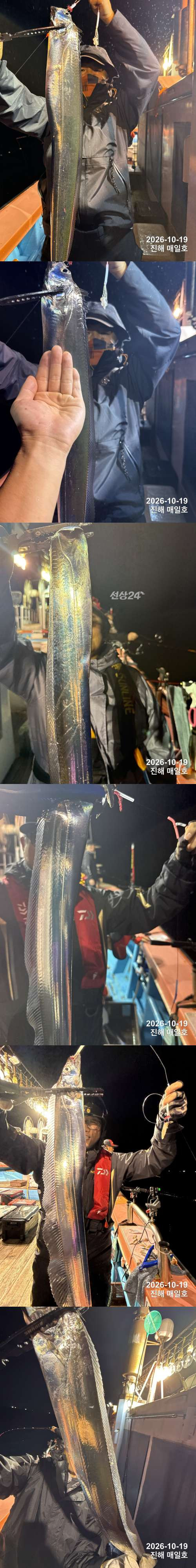 갈치2.jpg