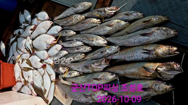 34622.jpg