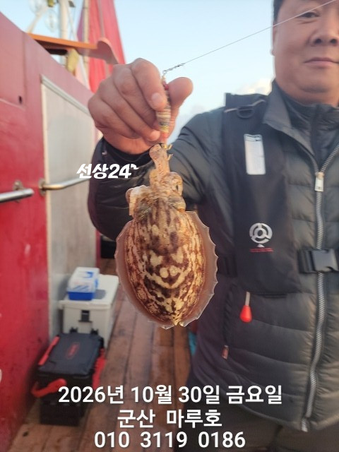 KakaoTalk_20261030_163940516_12.jpg