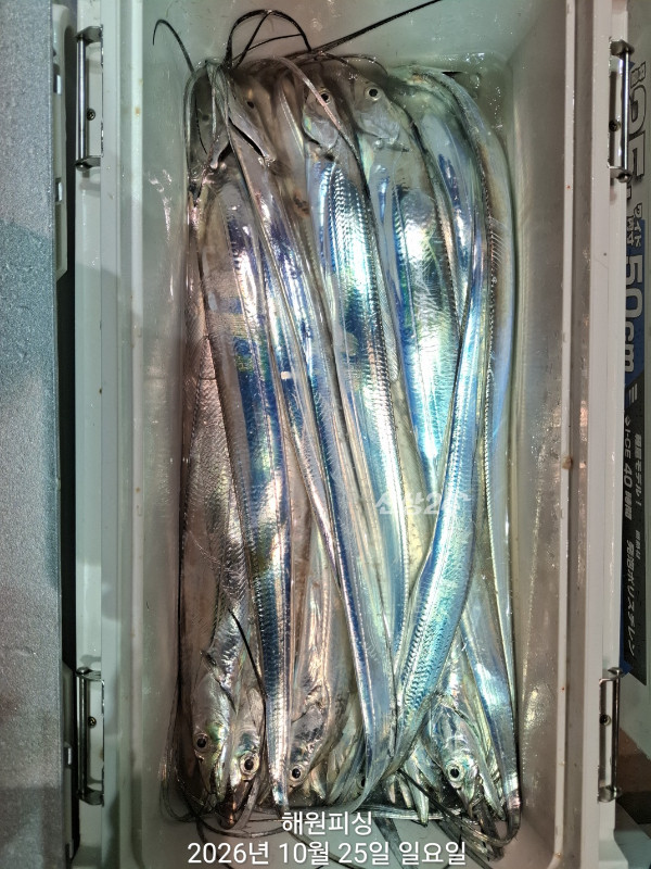 1000038888.jpg