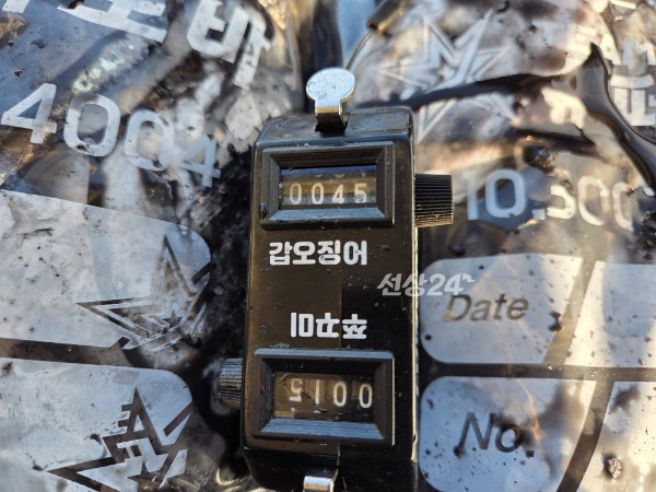 25300.jpg