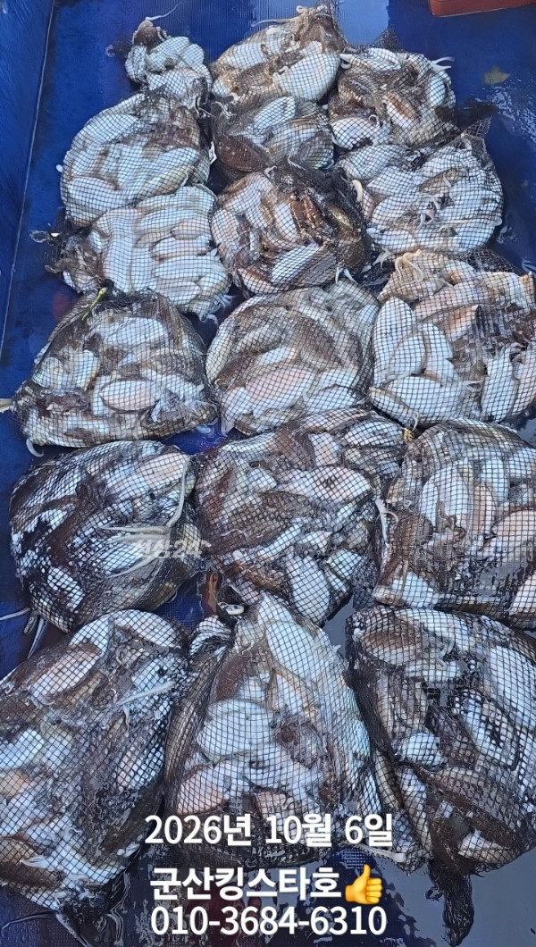 BandPhoto_2026_10_06_20_04_37_1.jpg