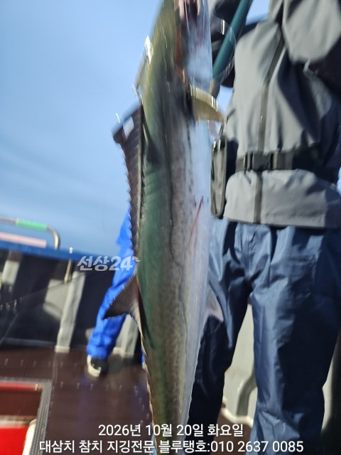 20261020_062724.jpg