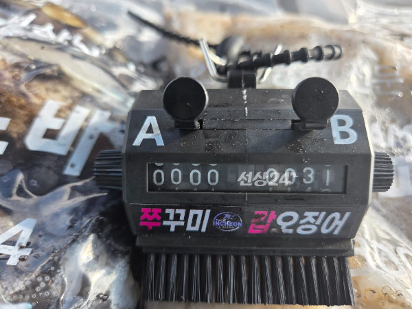 24840.jpg