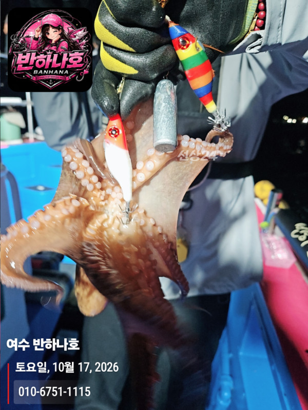 20261017_055711_제목-여수 반하나호_010-6751-1115.jpg