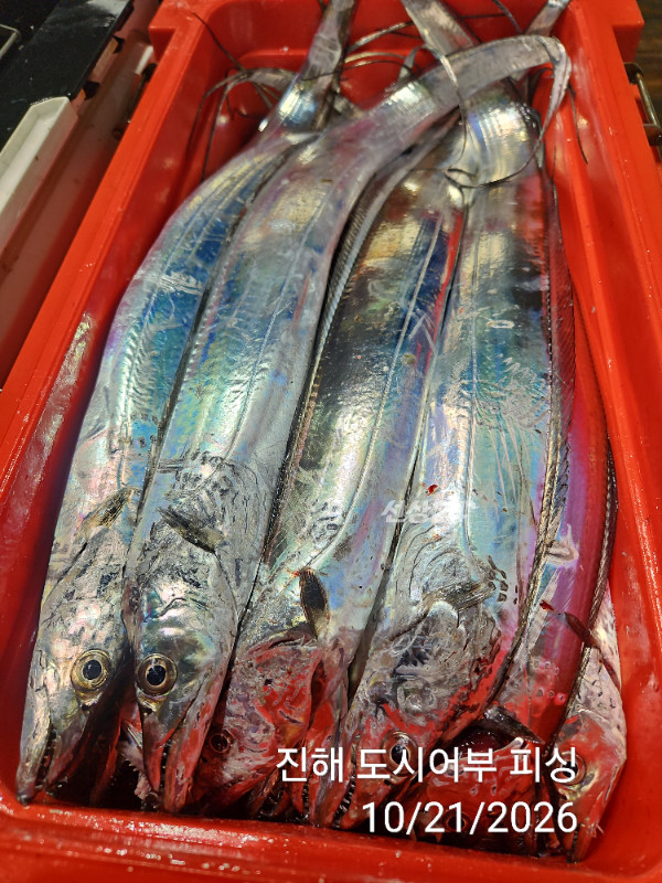 KakaoTalk_20261021_040550071_17.jpg