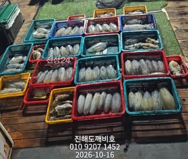 9578.jpg