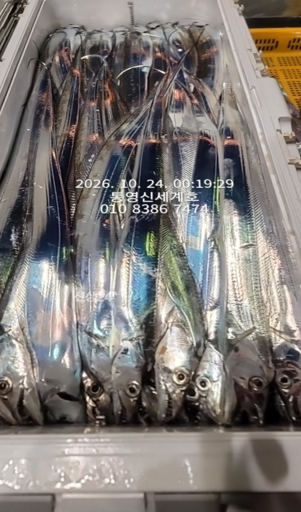 1792802505485.jpg