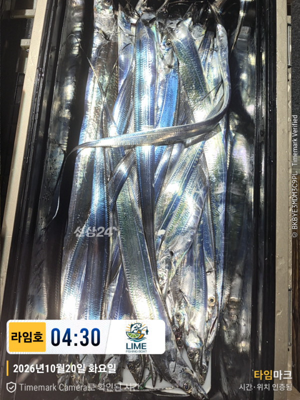 KakaoTalk_20261020_085945175_11.jpg