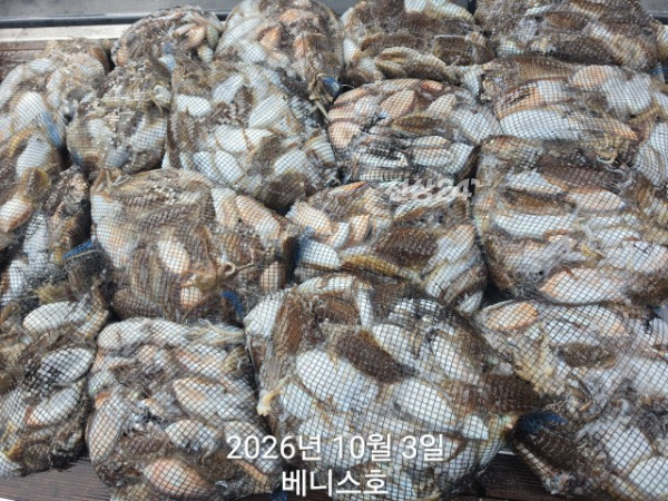 KakaoTalk_20261003_161354060_03.jpg