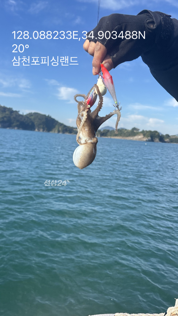 IMG_6267.jpeg
