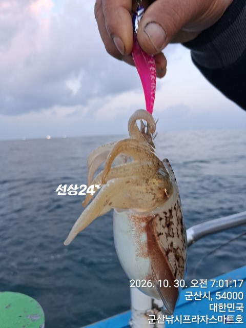 KakaoTalk_20261030_082442401_14.jpg
