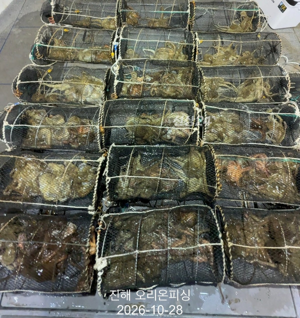 KakaoTalk_20261028_073629618.jpg