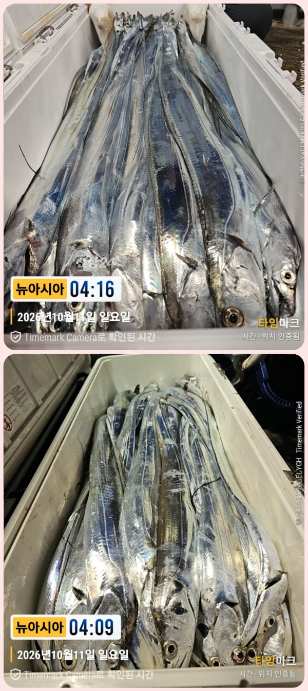 KakaoTalk_20261011_063154691_08-down.jpg