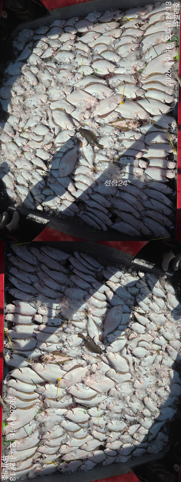 KakaoTalk_20261016_134552450_08 - 복사본-vert44444444444444.jpg
