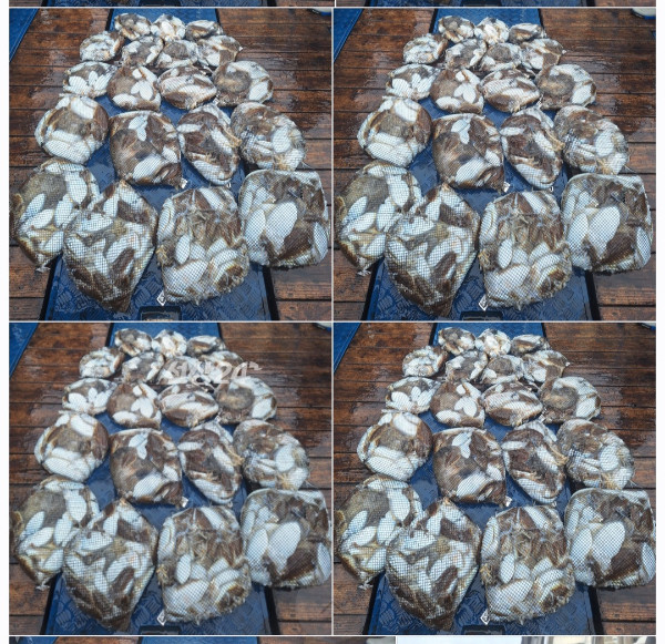 1000082110.jpg