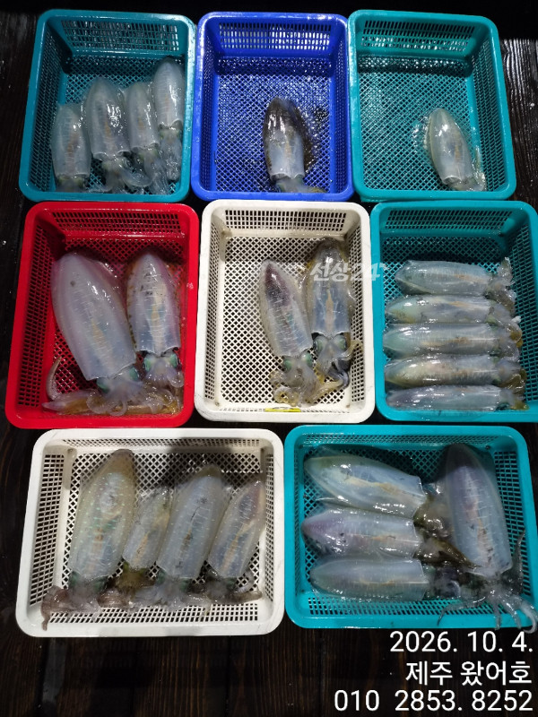 제주왔어호_사진_20261005_10.jpg
