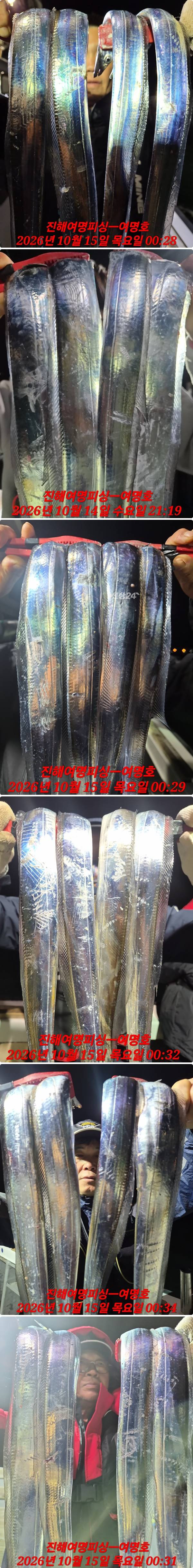 15일갈치중.jpg