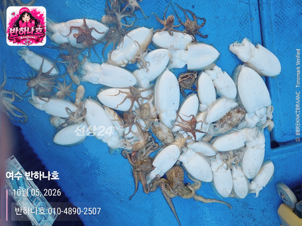 20261005_173610_제목-여수 반하나호_반하나호-010-4890-2507.jpg
