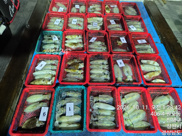 44937.jpg
