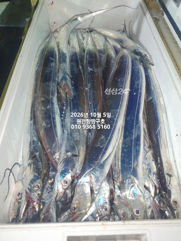 KakaoTalk_20261005_051425255_08.jpg