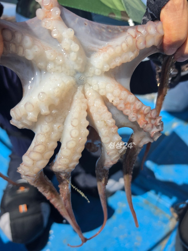 D9FA5772-84AC-49AD-AA0B-9E95F4DCF905.jpeg
