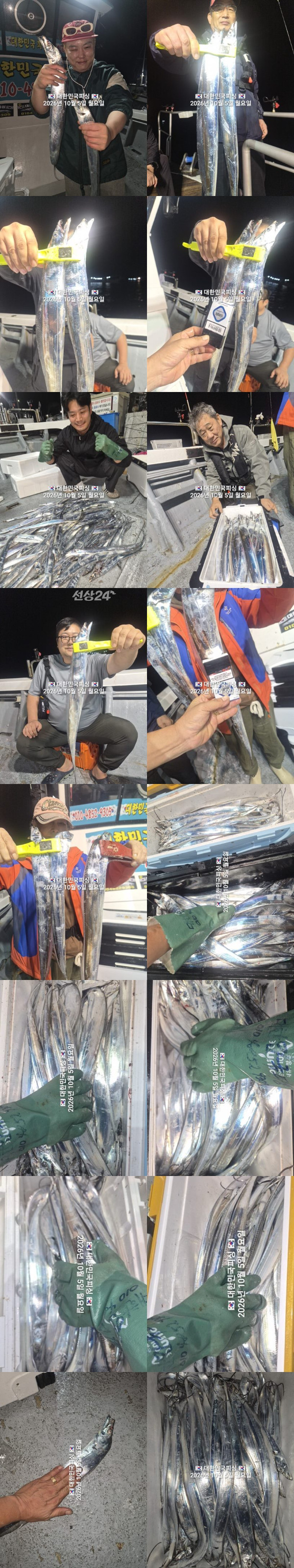 갈치1.jpg