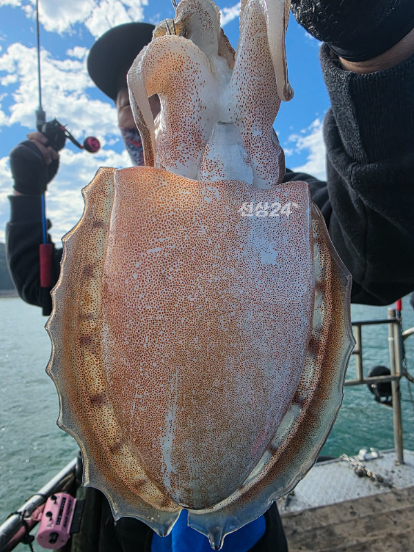 20261025_112405.jpg