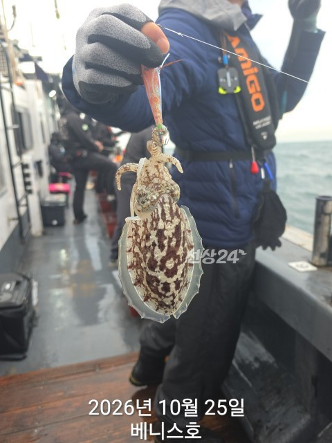 KakaoTalk_20261025_161949424_08.jpg