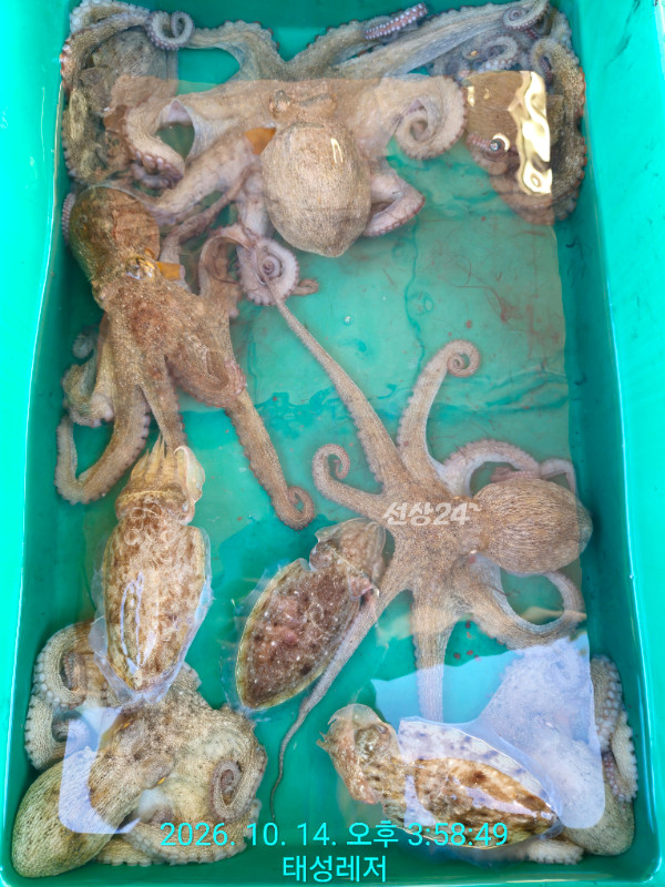 1000107001.jpg