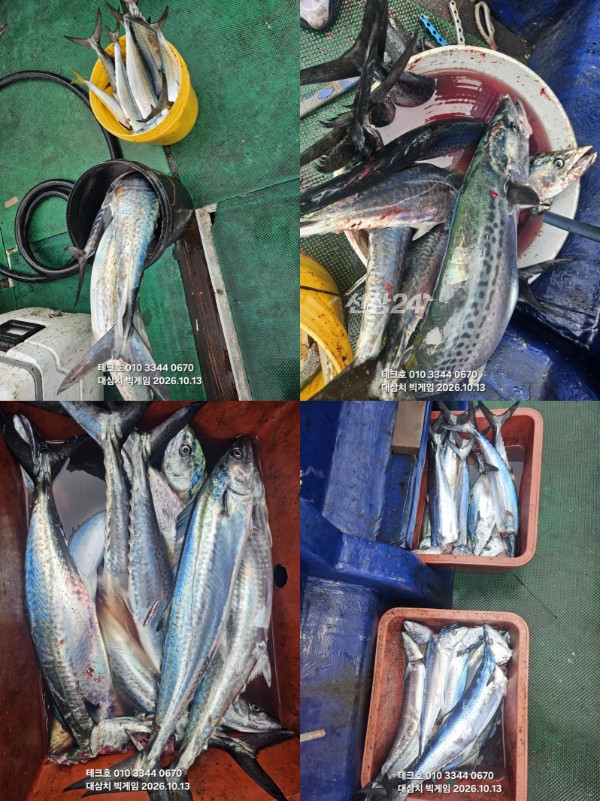 KakaoTalk_20261014_121758820_04.jpg