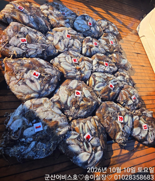 1000031625.jpg