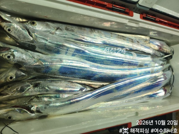 KakaoTalk_20261020_075839159_18.jpg