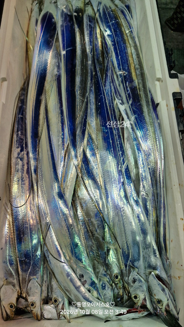 83945.jpg