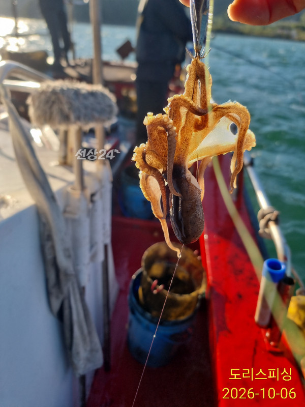 IMG_20261006_075623.jpg