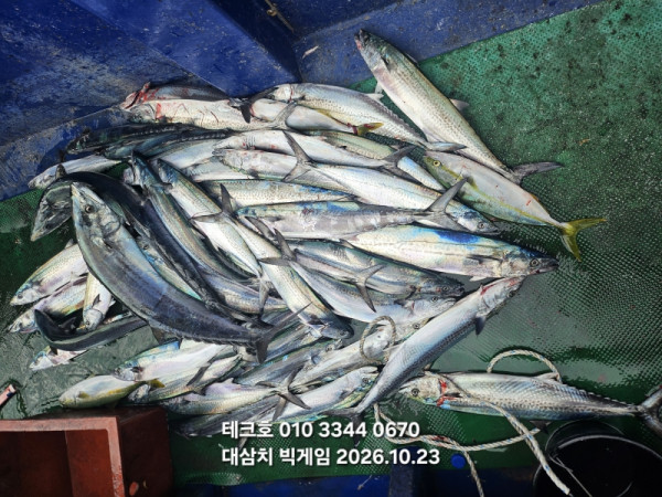 KakaoTalk_20261023_110028050.jpg