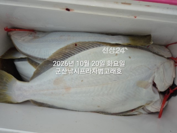 KakaoTalk_20261020_152311870_07.jpg