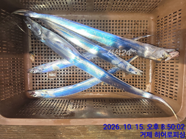 746FFD93-1B87-411A-8E32-7AC461F0A039.jpeg