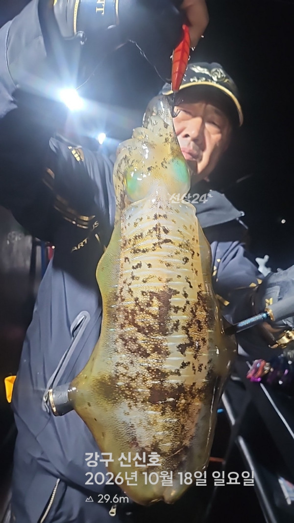 신신낚시 강구점 신신호_사진_20261018_2.jpg