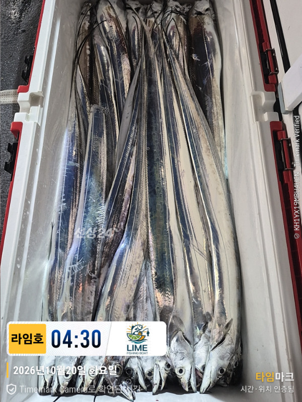 KakaoTalk_20261020_085945175_09.jpg