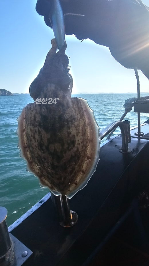 KakaoTalk_20261005_102152018_08.jpg
